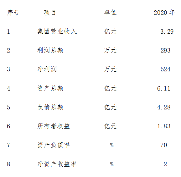 绵阳市公共交通集团有限责任公司2020年经营成果.png