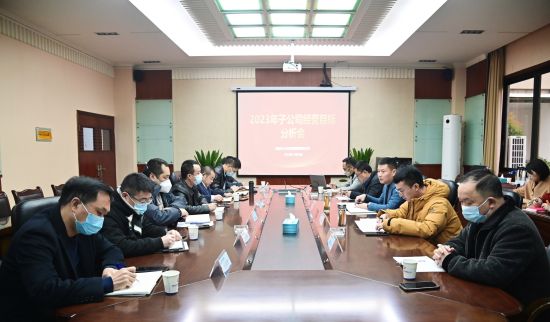 集团召开2023年度子公司经营目标分析会