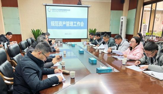 规范资产管理，提升发展质效 ——集团召开资产管理专题工作会