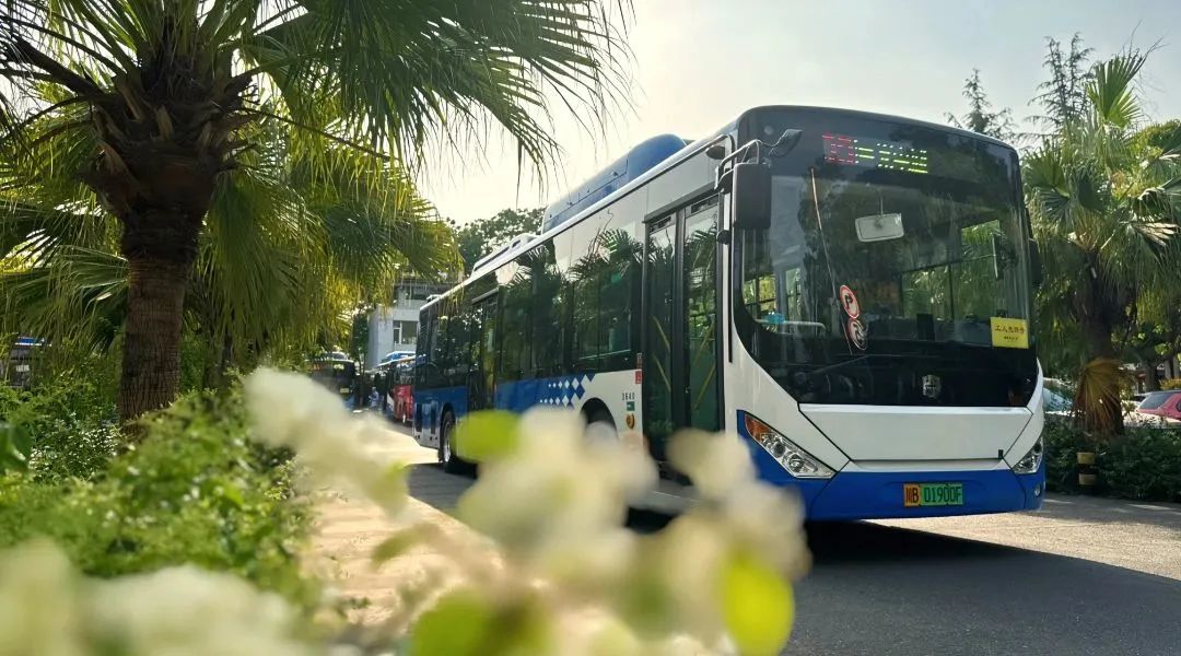 请收藏！“五一”小长假公交出行攻略